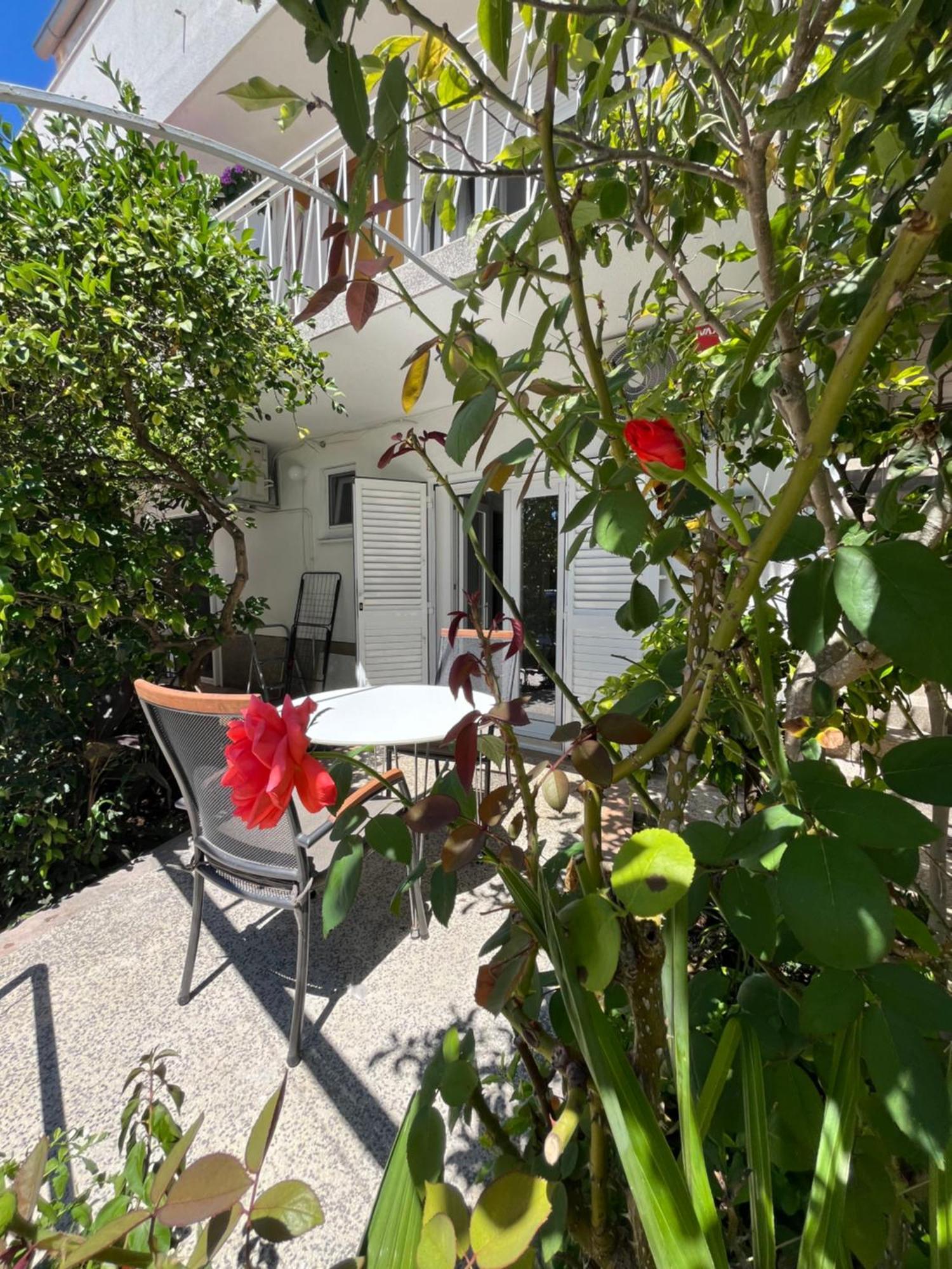 Green Oasis For Two, 30 Meters From Sea Apartment Zadar Exterior photo